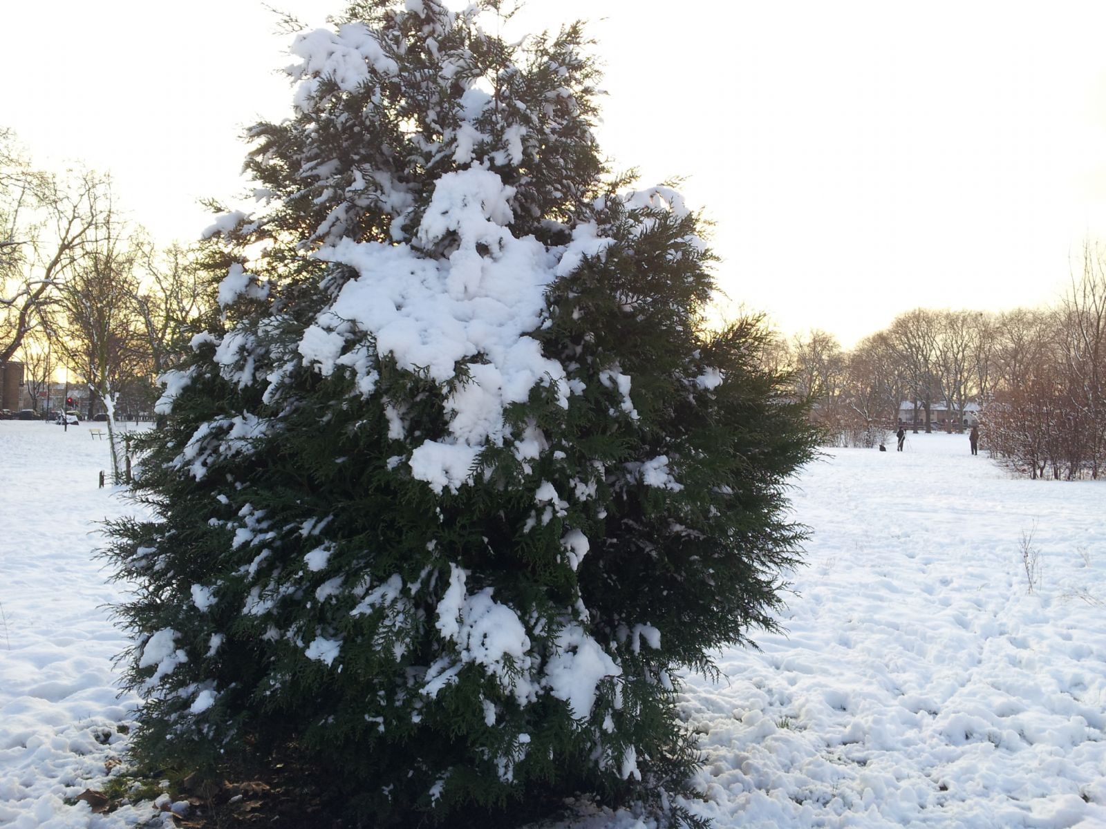 Snow in London